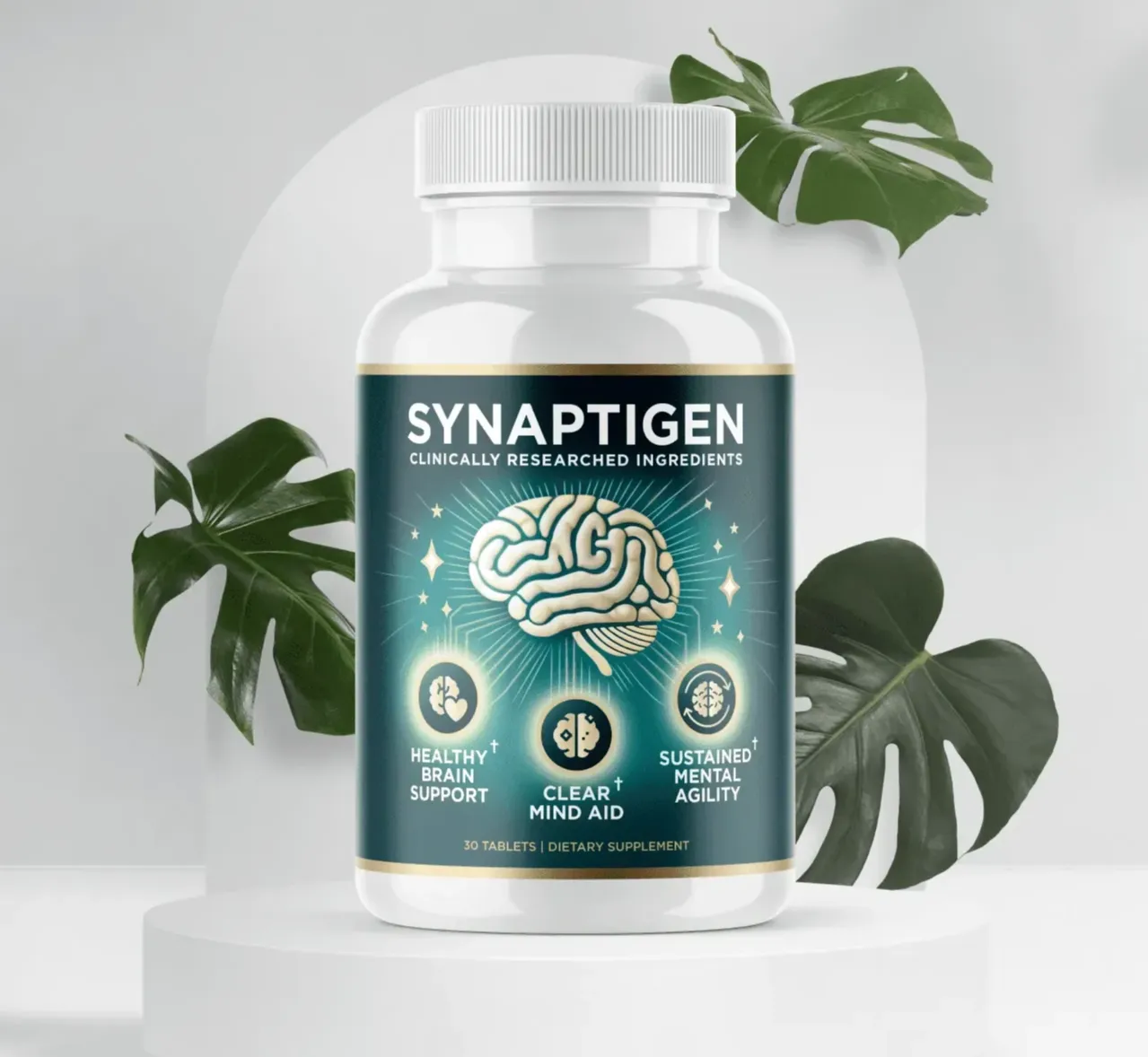 Synaptigen: A Smarter Approach to Cognitive Support